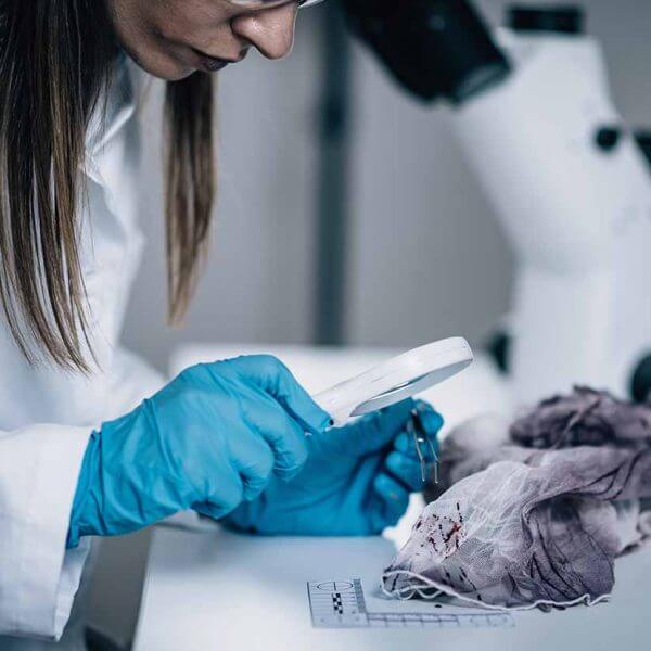 WHAT GRADE LEVEL IS FORENSIC SCIENCE visual data 5