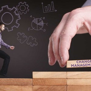 Business Management and Change Management Level 3 Bundle