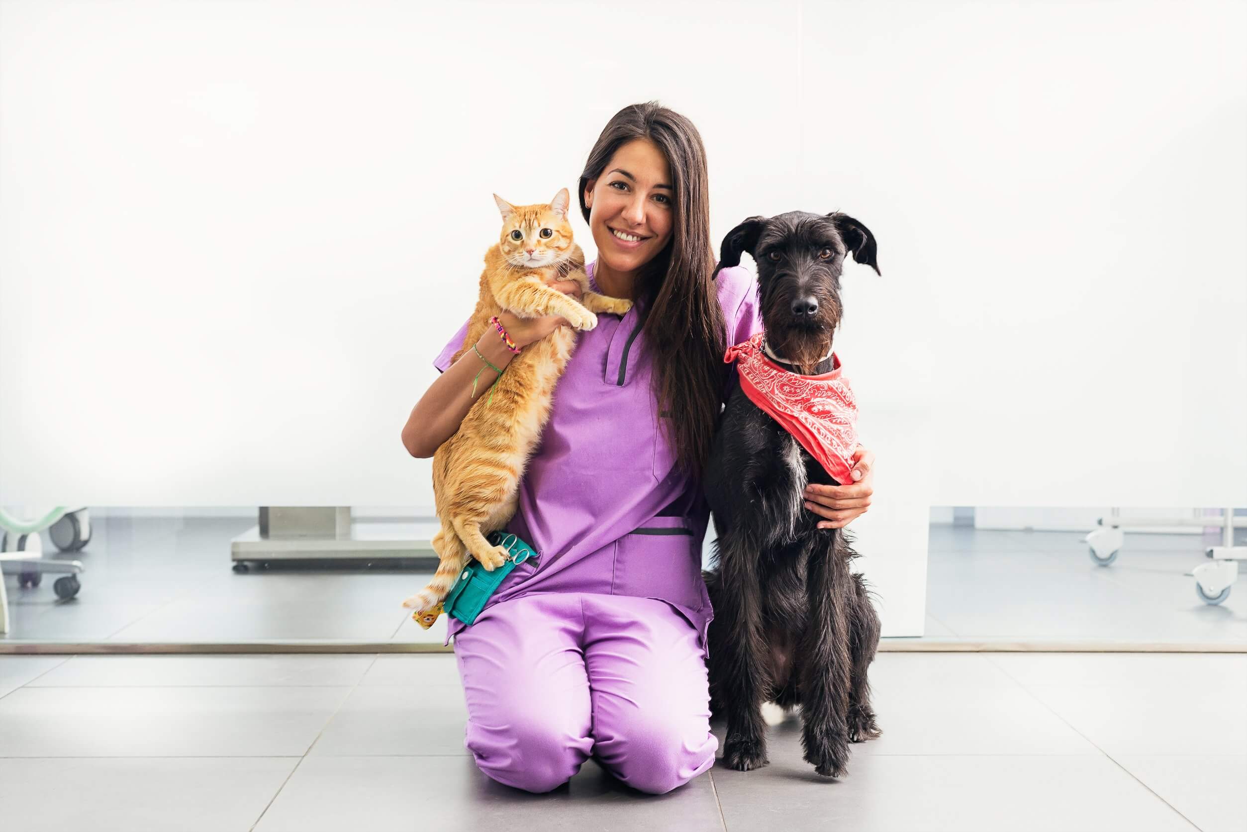 How to Get a Job in Animal Care