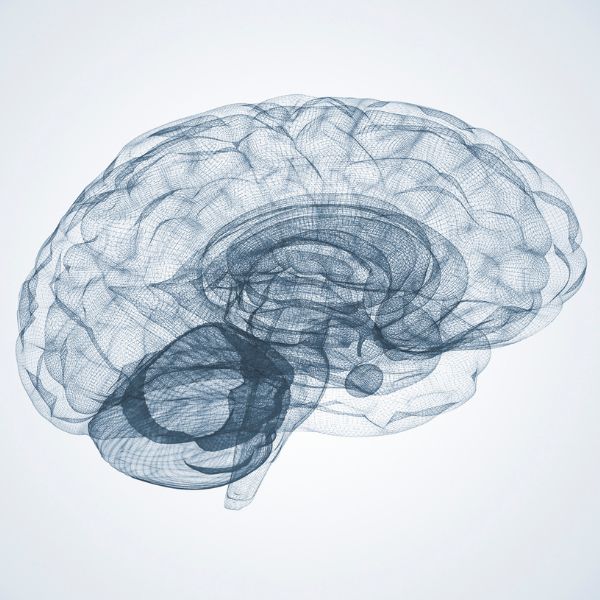 Neurological Conditions Level 3