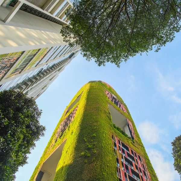 Managing Environmental Resources Level 3