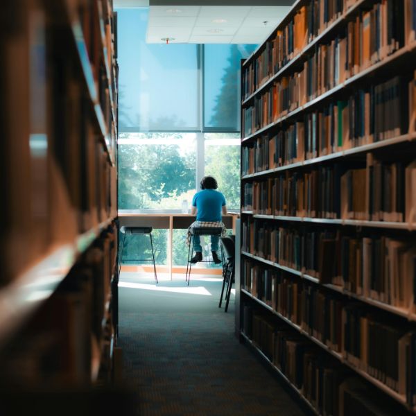 Library and Information Studies Level 3