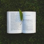 Introduction to English Level 2 & English Literature Level 3