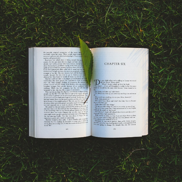 Introduction to English Level 2 & English Literature Level 3