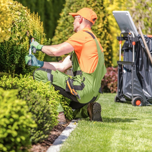 Garden Maintenance Level 3